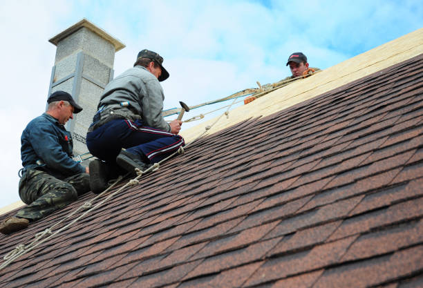 Best Roof Gutter Cleaning  in Winnfield, LA